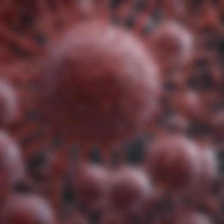 Detailed overview of Sciencell Endothelial Cell Medium components