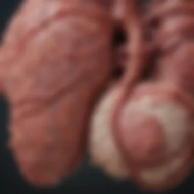 Clinical Manifestations of Hepatic Encephalopathy Chart depicting clinical manifestations of severe hepatic encephalopathy