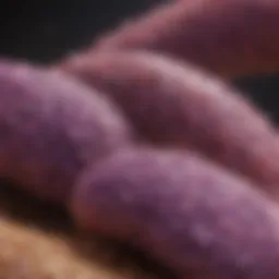 Visual representation of pancreatic cancer stages
