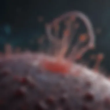 Transformative Applications of Stem Cells in Healthcare Infographic depicting the applications of stem cells in medicine