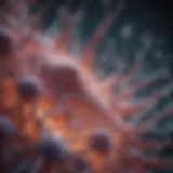 Cellular structure of stem cells under a microscope