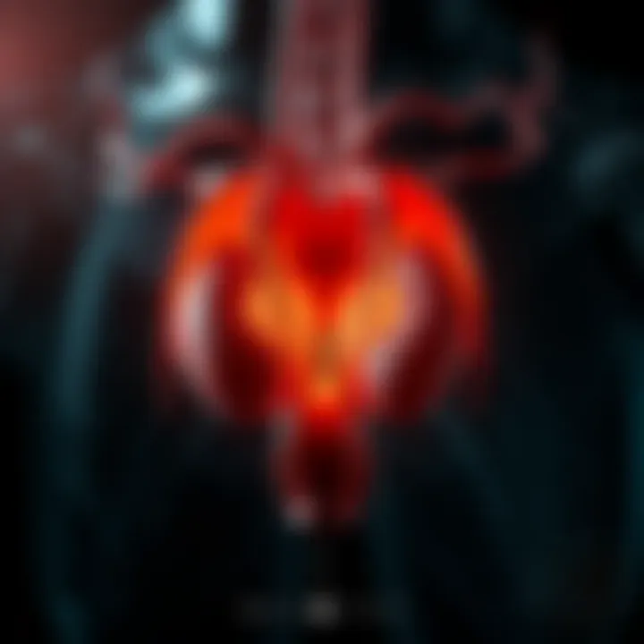 Anatomical illustration of the male reproductive system highlighting the testes.