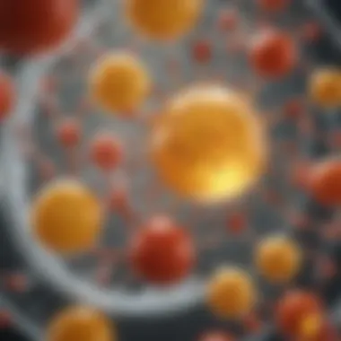 Graphic showing biochemical mechanisms of vitamin D