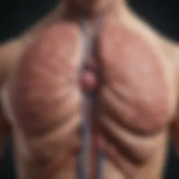 Diagram of the endocrine glands and their functions