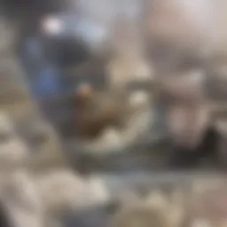 Visual representation of the immune system components