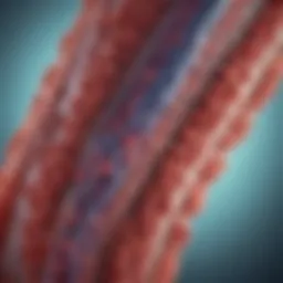 Conceptual illustration of tuberculosis bacteria