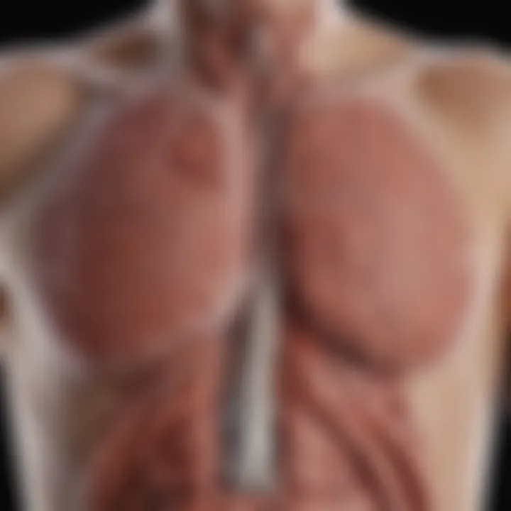 Infographic on treatment options for lung cancer with liver metastasis