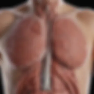 Treatment Options for Lung Cancer with Liver Metastasis Infographic on treatment options for lung cancer with liver metastasis