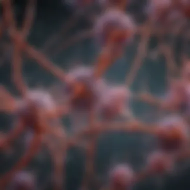 Alpha-Synuclein Aggregation and Its Impact on Neurons Alpha-synuclein aggregation in neural cells