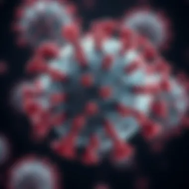 Understanding the Rhinovirus: Insights into a Common Pathogen Summary Understanding the Rhinovirus: Insights into a Common Pathogen Summary