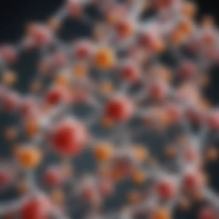 Molecular structure of saturated fatty acids