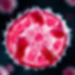Cellular structure of squamous cell carcinoma