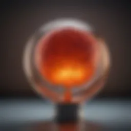 Diagram illustrating the types of chronic leukemia