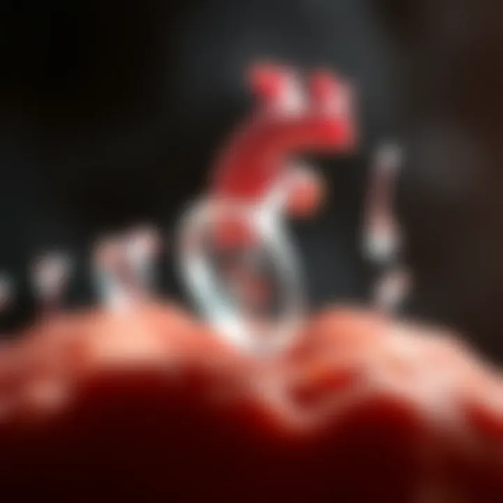 Lifecycle of a tissue valve from development to implantation
