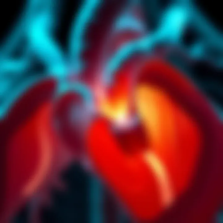 Illustration of tissue valve structure