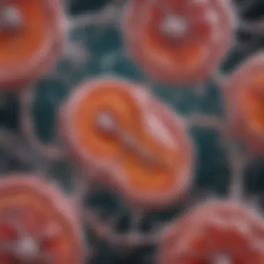 A microscopic view of kidney cells highlighting their structure and function