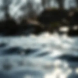 Understanding Water Softness in Local Contexts Introduction