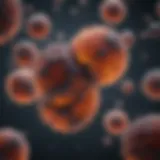Microscopic view of melanoma cells